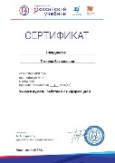 dt210.jpg